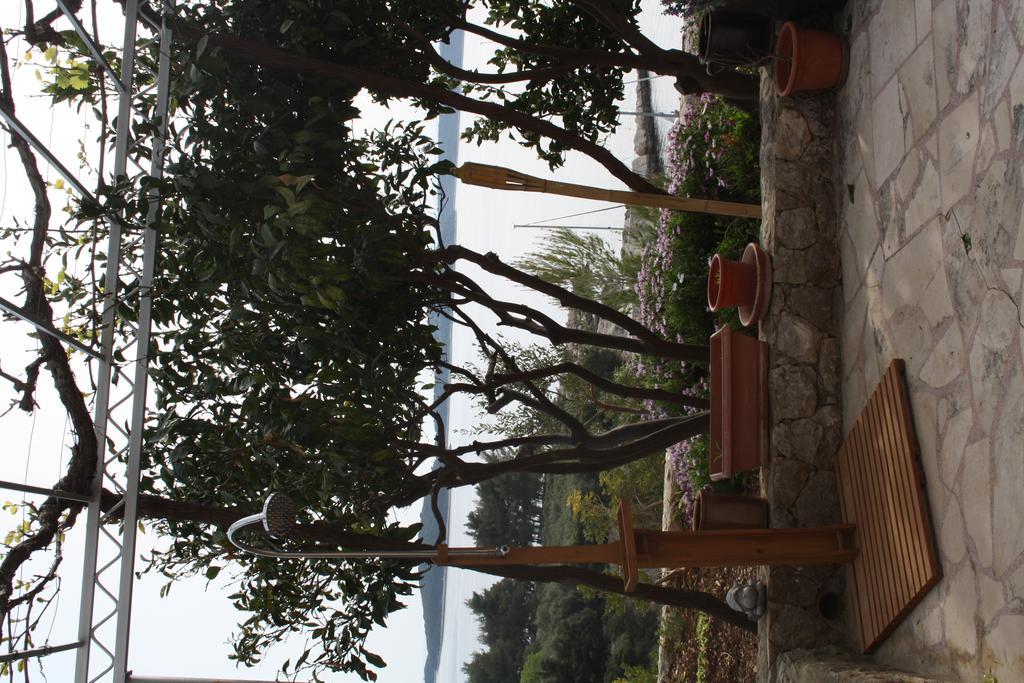 Villa Marijam Hvar Town Luaran gambar